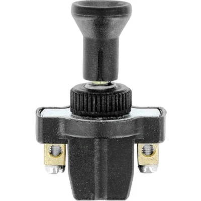 Imagen de RESTAGRAF 6970 Interruptor