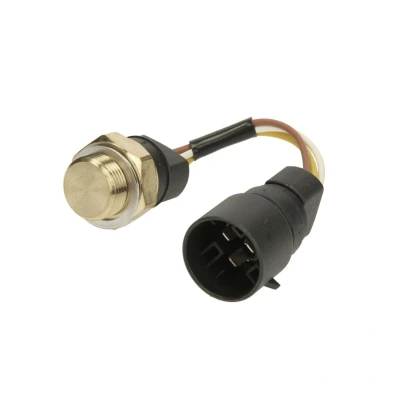 Imagen de Interruptor de temperatura, ventilador del radiador FAE 38220