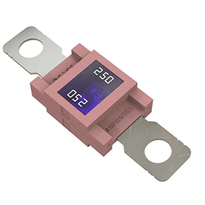 Imagen de AUPROTEC Fusible MEGA de alta corriente atornillable 80A 500A selección: 250A Ampere rosa