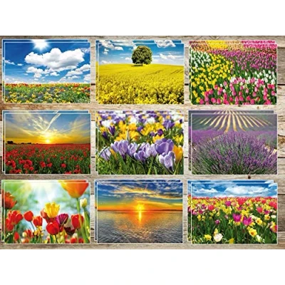 Imagen de Edition Colibri Juego de 20 tarjetas postales para primavera y verano con 10 diferentes 2 unidades = postcrossing escritores múltiples, respetuoso el medio ambiente, ya que