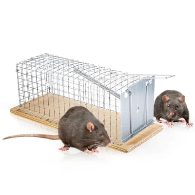 Imagen de SWISSINNO Jaula para Ratas, Construida en madera y metal, Atrapar + soltar, Diseño seguro, Uso interior exterior, Segura niños mascotas, Fabricado Europa: 1x Trampa