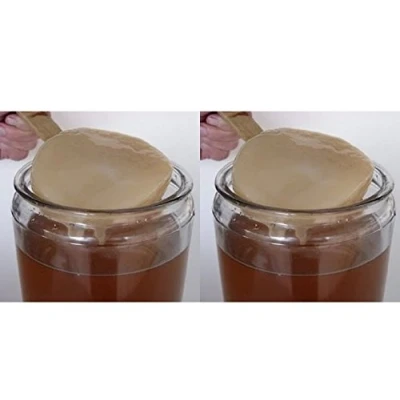 Imagen de Pack 2X Disco SCOBY Kombucha Fresco + Instrucciones Recetas Ayuda y Asesoramiento en español KEFIRALIA®
