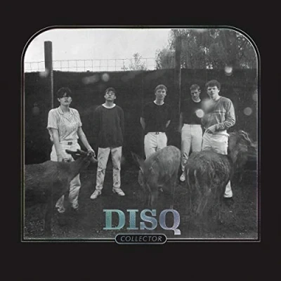 Imagen de Collector Vinilo