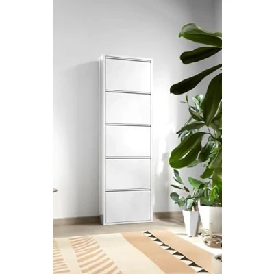 Imagen de Dmora Zapatero Isidro, Zapatos, Armario de Entrada Multiusos, Mueble para Calzado, 50 x 15 172 cm, Metal, Color Blanco, 5 scomparti
