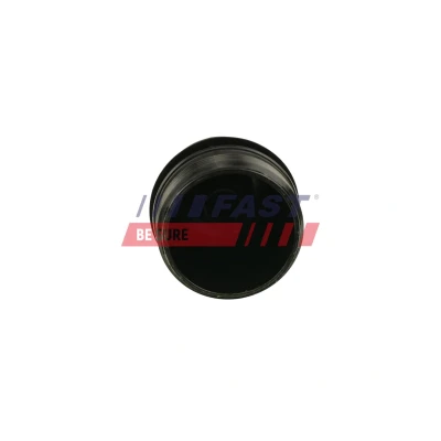 Imagen de FAST FT38087 Filtro de aceite M22X1 enroscable FORD: Focus Mk1 Hatchback, Tourneo Connect, Berlina