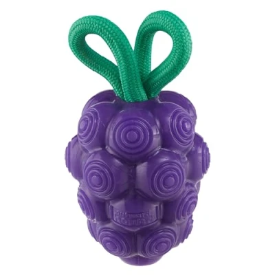 Imagen de Outward Hound by Planet Dog Juguete Dental para Masticar y Relleno Interactivo de Uvas dentales, Duradero Perros, rellenable Mediano, Morado