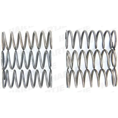 Imagen de Kit muelles de embrague TRW MEF150 6