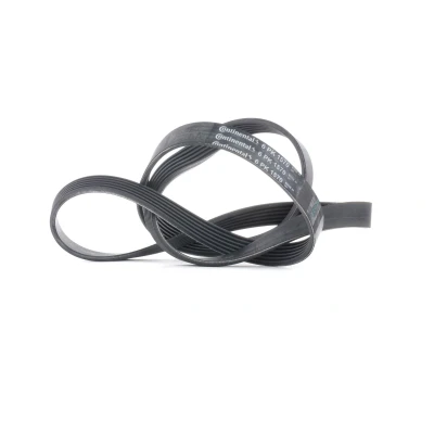 Imagen de CONTITECH 6PK1570 Correa trapecial poli V 1570 6 AUDI: A4 B7 Cabrio, Berlina, B6 BMW: 5 SEAT: Exeo ST, Berlina norauto