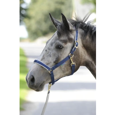 Imagen de Bucas Dublin Halter Navy / Silver