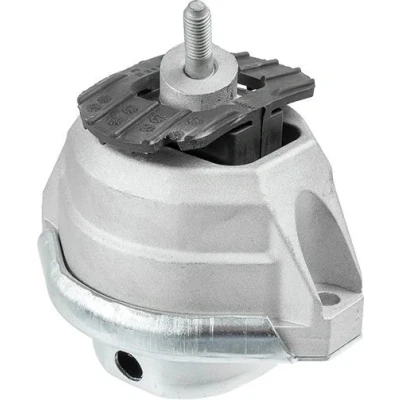 Imagen de Cojinete, motor LEMFÖRDER 29827 01 Derecha