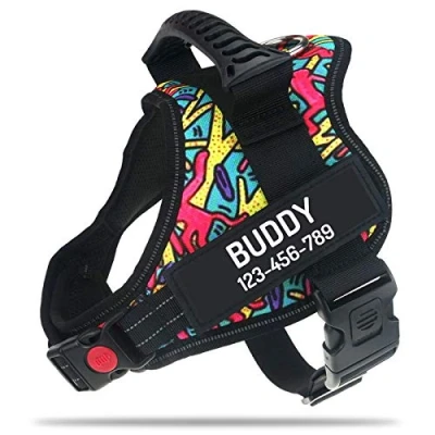Imagen de PawPawify Arnés personalizado para perro sin tirones con nombre y número de teléfono personalizados, chaleco resistente mascotas evitar tirones, o asfixia, entrenamiento caminar,