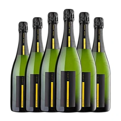 Imagen de Joan Sarda Brut Nature Cava Reserva 75 cl Espumoso blanco (Caja de 6 Botellas cl)