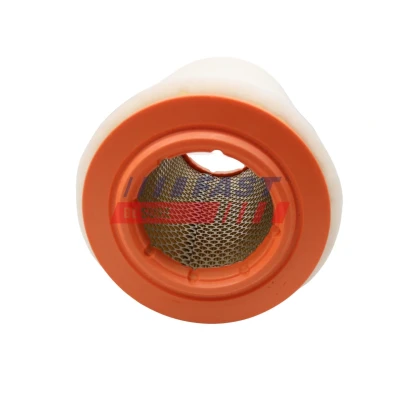 Imagen de FAST FT37129 Filtro de aire 50 102 335 rectangular recirculación CITROËN: Berlingo / First I, C3 I Hatchback, C2 Hatchback