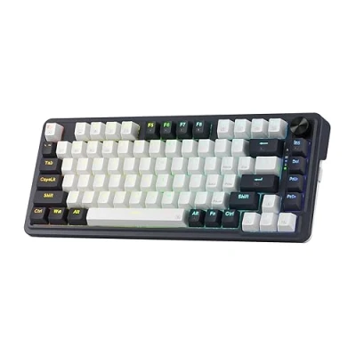 Imagen de Redragon K673 PRO RGB Gaming Keyboard con 75% de sellado inalámbrico, 3 modos, 81 teclas, teclado mecánico compacto, control especial botones y almohadillas absorbentes sonido, interruptor rojo