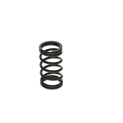 Imagen de BOSCH F 00N 200 141 Muelle