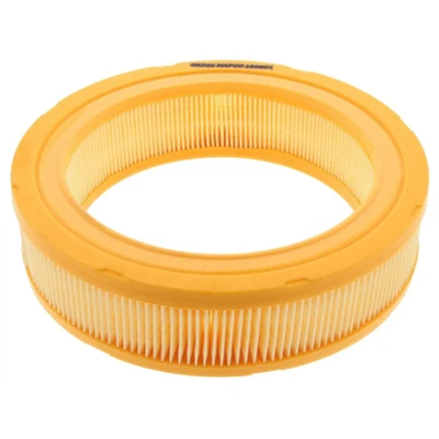 Imagen de Filtro de aire MAPCO 60346