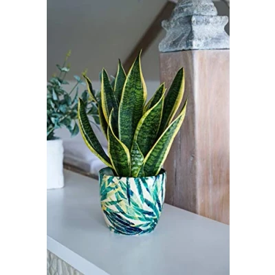 Imagen de Ivyline Monza Macetero botánico (17 cm)