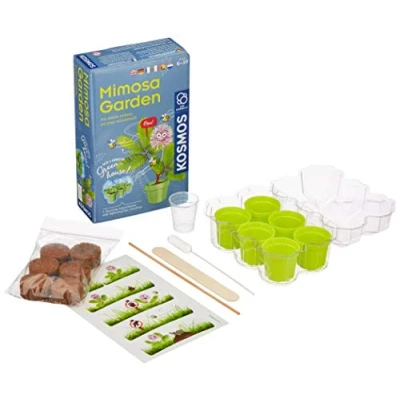 Imagen de Kosmos Garden Jardín Mimosa, Cultivo y exploración de Plantas Juego experimentos para niños con Instrucciones multilingües (DE, EN, FR, IT, ES, NL), Multicolor, Small/Medium (616809)