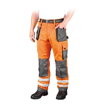 Imagen de Leber&amp;Hollman LH FMNX T_PSB50 Pantalones protectores (talla 50), color naranja, gris y negro
