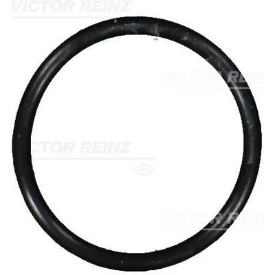Imagen de REINZ 40 76101 00 Anillo obturador