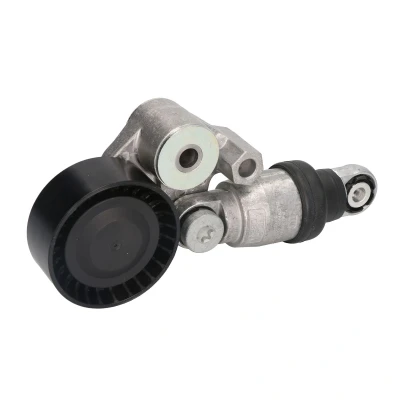 Imagen de Polea tensora, correa acanalada en V HUTCHINSON T0546