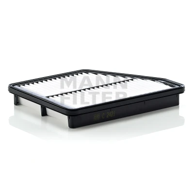 Imagen de MANN FILTER C 2421 Filtro de aire 34 193 242 Cartucho filtrante HYUNDAI: Matrix