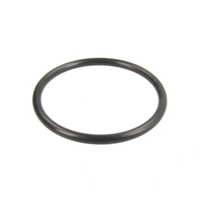 Imagen de TOPRAN 113 883 Junta, caja filtro VOLKSWAGEN: GOLF 4, Bora Berlina, 3, SEAT: Leon I Hatchback, Ibiza 3