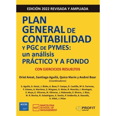 Imagen de Plan General de Contabilidad y PGC Pymes 2022: Un análisis práctico a fondo