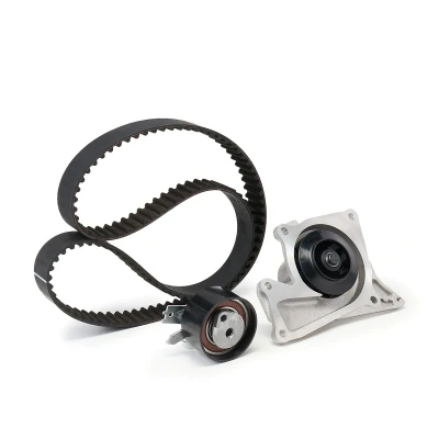 Imagen de FEBI BILSTEIN 173163 bomba de agua + Kit Distribucion con 123 RENAULT: MEGANE 3, CLIO Kangoo II / Grand Kangoo, NISSAN: Qashqai 2