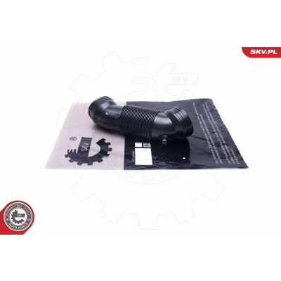 Imagen de ESEN SKV 54SKV184 Tubo flexible de aspiración, filtro aire turbocompresor escape, Medidor la masa SEAT: Leon II Hatchback, Altea