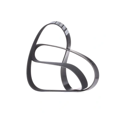 Imagen de DAYCO 6PK1660 Correa trapecial poli V 1660,0 6 AUDI: A3 Hatchback, SEAT: Toledo 2 Limousine, Leon I VOLKSWAGEN: Golf 4