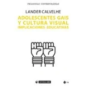 Imagen de Adolescentes Gais Y Cultura Visual