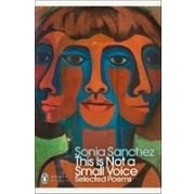 Imagen de This Is Not A Small Voice (ebook)