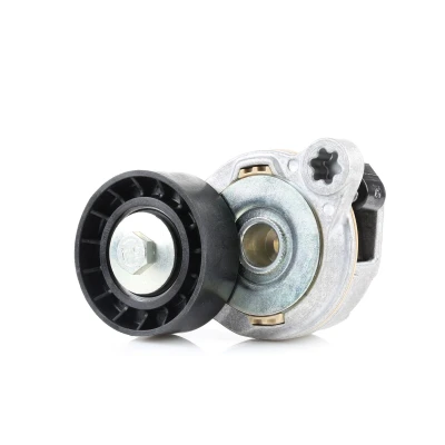 Imagen de FEBI BILSTEIN 49398 Tensor de Correa VOLVO: S60 II, XC60 I