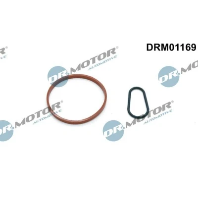 Imagen de DR.MOTOR AUTOMOTIVE DRM01169 Kit de juntas, bomba vacío PEUGEOT: 308 II Hatchback, 2008 Familiar, CITROËN: C3 II, DS5 FORD: FIESTA 6