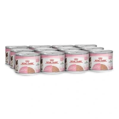 Imagen de Royal Canin Mother &amp; Babycat Mousse 12 x 195 g Alimento Completo para Gatos Especial gatas Madres y Sus Cachorros reforzar Las defensas del organismo