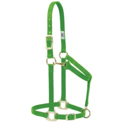 Imagen de Weaver Leather Original Cabestro Ajustable de Nailon para Caballos, 35 7035 LI, Verde (Lime Zest), 1 Inches Average Horse