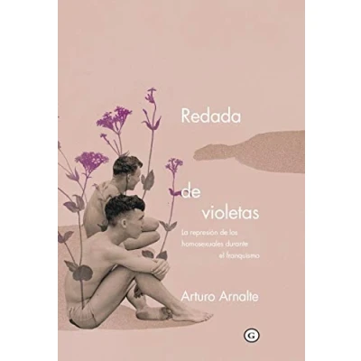 Imagen de Redada de violetas: La represión los homosexuales durante el franquismo (COLECCION G)