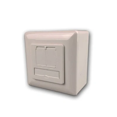 Imagen de Wentronic 68244 Caja universal CAT 6 con marco de montaje uncluido, 2 conexiones RJ45, blanco