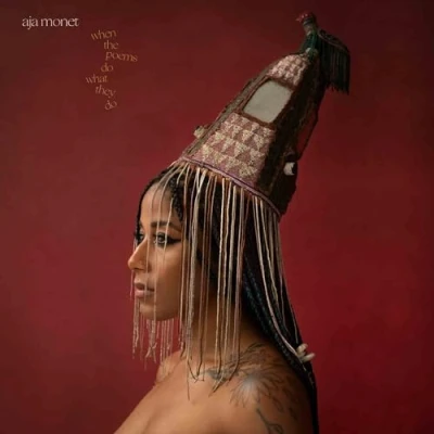 Imagen de When The Poems Do What They 2 Vinilos Aja Monet