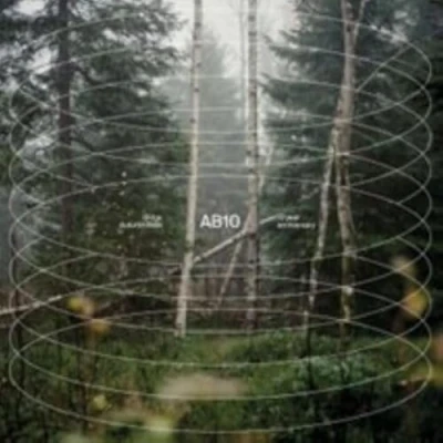 Imagen de Ab10 3 Vinilos Transparente GIDGE