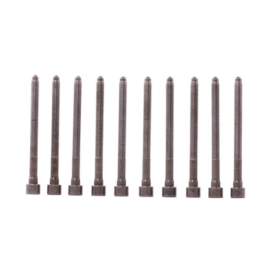 Imagen de REINZ 14 32276 01 Juego de Tornillos Culata Polydrive AUDI: A3 Sportback, A4 B7 Berlina, SEAT: Leon II Hatchback, VOLKSWAGEN: Golf 5 norauto,
