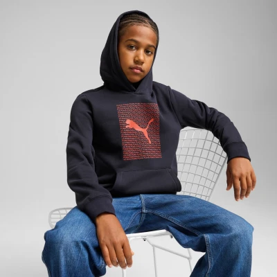 Imagen de Sudadera con capucha Essentials Logo Lab juvenil