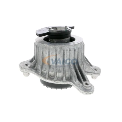 Imagen de VAICO V30 3094 Soporte de motor Q+, calidad primer equipo Delante, derecha hidráulico MERCEDES BENZ: Clase C T modell, E Coupé