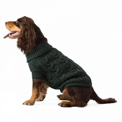 Imagen de HUGO &amp; HUDSON x Hackett suéter de Punto Trenzado para Perros, cálido Cuello Alto Punto, Verde, XS