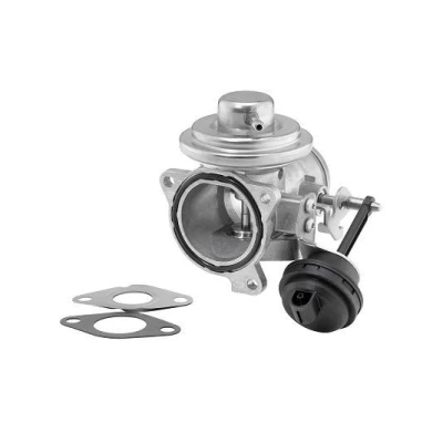 Imagen de WAHLER 7293D/1 Válvula EGR neumático con juntas SEAT: Ibiza 3, Leon I Hatchback, Toledo 2 Limousine, VOLKSWAGEN: Golf 4, Polo IV Hatchback