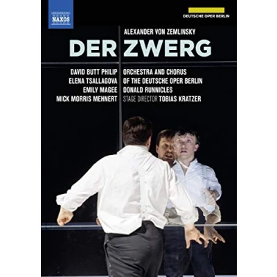 Imagen de Zemlinsky, A.: Zwerg (Der) [Opera] (Deutsche Oper Berlin, 2019) (NTSC) [DVD]