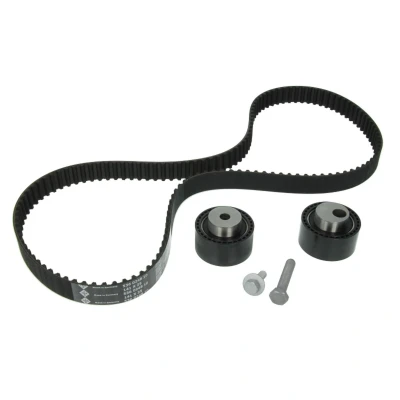 Imagen de INA 530 0111 10 Kit de correa distribución 141 con tornillo PEUGEOT: 206 Hatchback, 406 Berlina, Boxer Furgón, CITROËN: Berlingo / First I