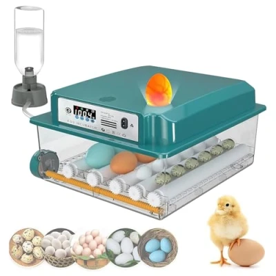 Imagen de incubadora de huevos gallina, automática 24/36 huevos, totalmente con control temperatura, indicador humedad, inversor automático