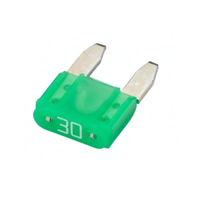 Imagen de HELLA 8JS 728 596 851 Fusible 30 verde